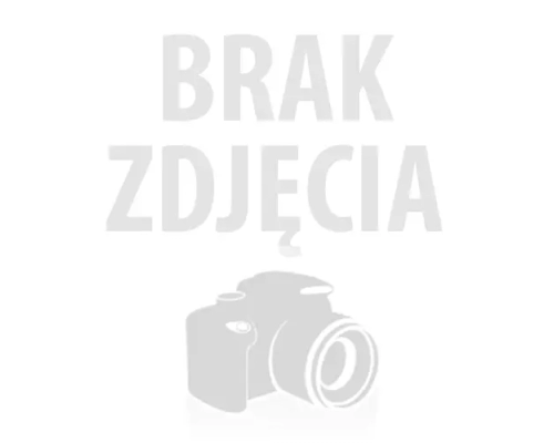 Drukarka do hydrografiki A1 (61cm) - 10 kolorowa